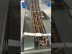 अंडे तोड़ने वाली मशीन ऊर्ध्वाधर प्रकार की