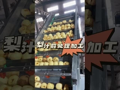 पीयर जूस के पूर्व प्रसंस्करण का प्रदर्शन कैसे करें