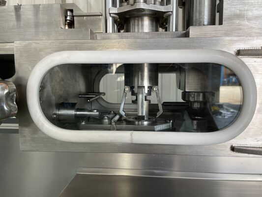 Automatic  5L 10L 15L 20L 25L Bag In Box Filler Packaging Aseptic Milk Wine Juice Oil BIB Filling Machine